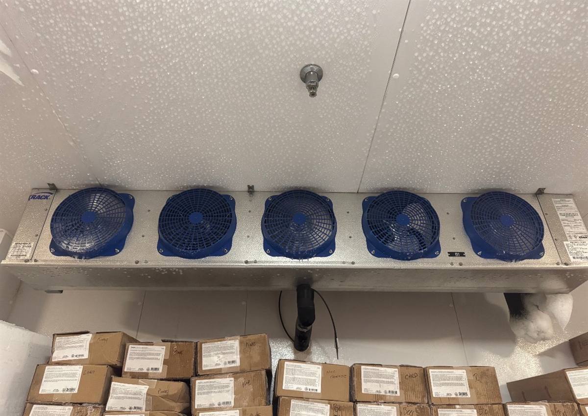 A ceiling-mounted evaporator with five fans running above stacked product inside a walk-in freezer.